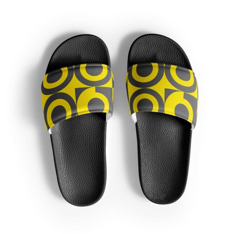 Slides
